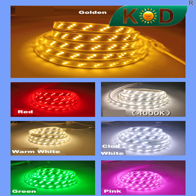 Preferred LED light beads light color outstanding 220V strip light