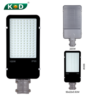 2000Lm 100W of Two Mode of Lighting for LED Solar Street Light Which Produced by China Manufacturer